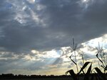 IMG_4423.jpg