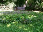 ImageUploadedBySymptome.ch1408733690.739299.jpg