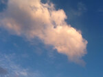 ImageUploadedBySymptome.ch1408904103.299561.jpg