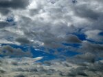 IMG_4469.jpg
