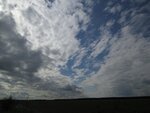 IMG_4541.jpg
