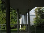 IMG_4618.jpg