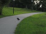 IMG_4625.jpg