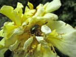 IMG_4752.jpg