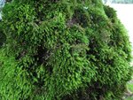 IMG_4643.jpg