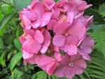 IMG_4788.jpg