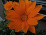 IMG_4793.jpg