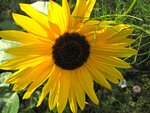 IMG_4790.jpg
