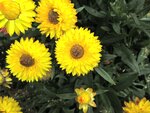 IMG_4833.jpg