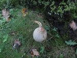 IMG_4842.jpg