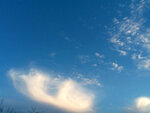 ImageUploadedBySymptome.ch1411060947.828478.jpg