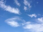 IMG_0276.jpg