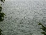 IMG_4883.jpg