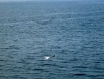 IMG_4903.jpg