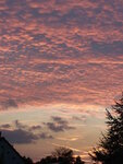 Wolkenrosa.JPG
