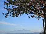 IMG_4954.jpg