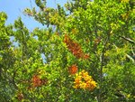 IMG_4962.jpg