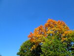 IMG_4988.jpg