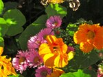 IMG_4993.jpg