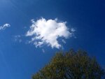 ImageUploadedBySymptome.ch1412609584.532520.jpg