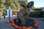 ImageUploadedBySymptome.ch1414864729.821011.jpg