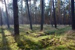 ImageUploadedBySymptome.ch1417020522.284514.jpg