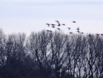 DSC00379.jpg