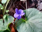 DSC00433.jpg