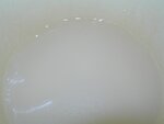 DSCN1155.jpg