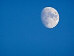 DSC00520.jpg