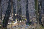 ImageUploadedBySymptome.ch1420385006.744458.jpg