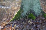 ImageUploadedBySymptome.ch1420642922.053066.jpg