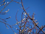 DSC00574.jpg