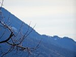 DSC00564_2.jpg