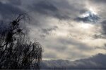 ImageUploadedBySymptome.ch1420908996.475704.jpg