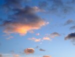 DSC00581.jpg