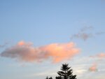 DSC00582.jpg
