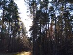 ImageUploadedBySymptome.ch1421173517.402716.jpg