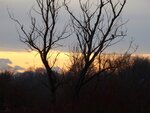 DSC00601.jpg