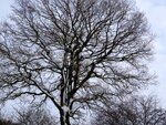 DSC00630.jpg