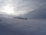 DSC00633.jpg