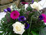 DSC00635.jpg