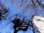 DSC00663.jpg