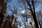 ImageUploadedBySymptome.ch1422986671.700503.jpg
