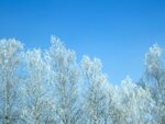 DSC00713.jpg