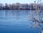 DSC00764.jpg