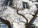 DSC00715.jpg