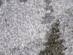 DSC00767.jpg