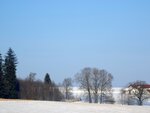 DSC00810.jpg