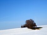 DSC00809.jpg